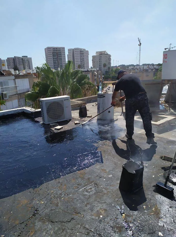 צוות מקצועי